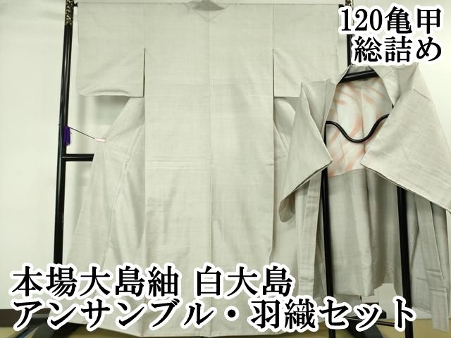 ♦極美品♦本場白紬大島訪問着単品販売♦貴重な120亀甲 平和屋本店□極上 本場大島紬 白大島 アンサンブル 羽織セット