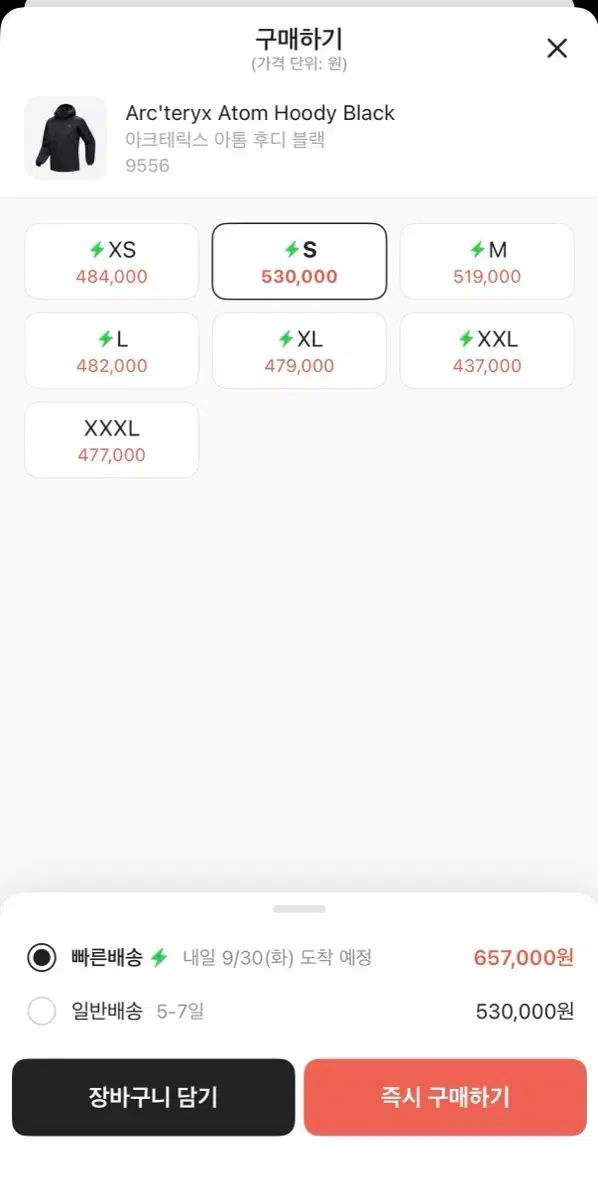 ARC TERYX アークテリクス Atom アトム フーディー パーカー S