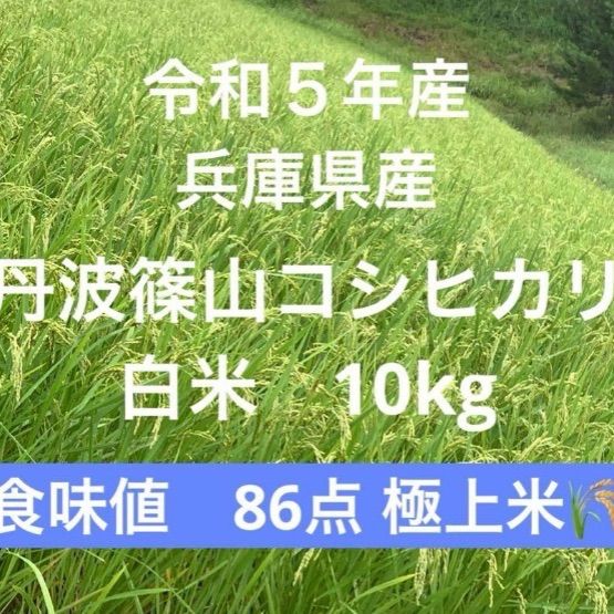 新米【丹波篠山コシヒカリ】白米/10kg 令和5年産 兵庫県産〈単一原料米