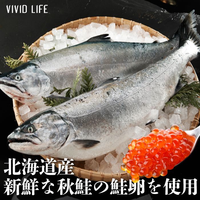 北海道産 秋鮭 いくら醤油漬け 250g×2 冷凍 イクラ いくら 魚卵 海鮮 化粧箱 ※北海道・沖縄へは配送不可