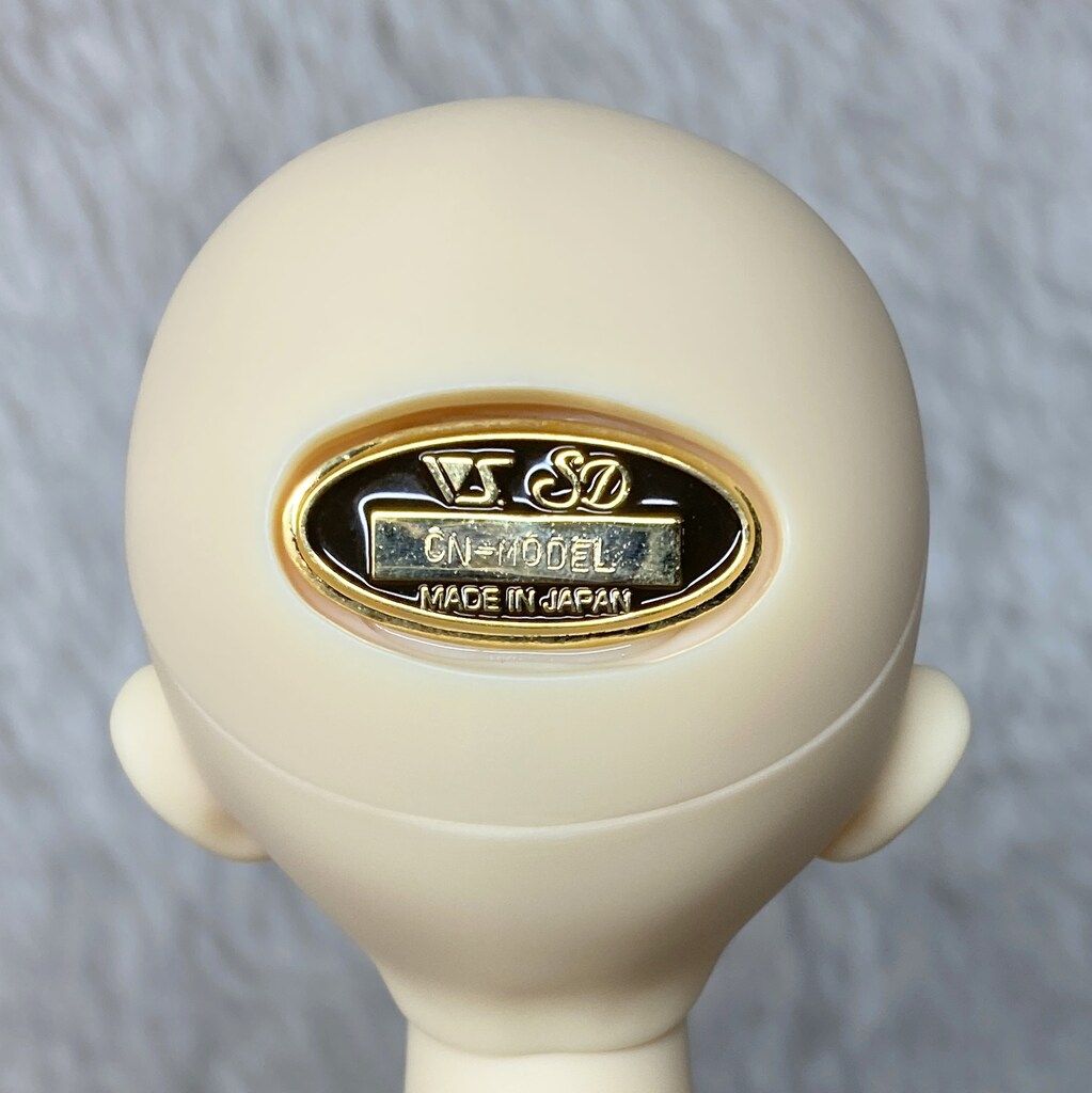 コーディネートモデル