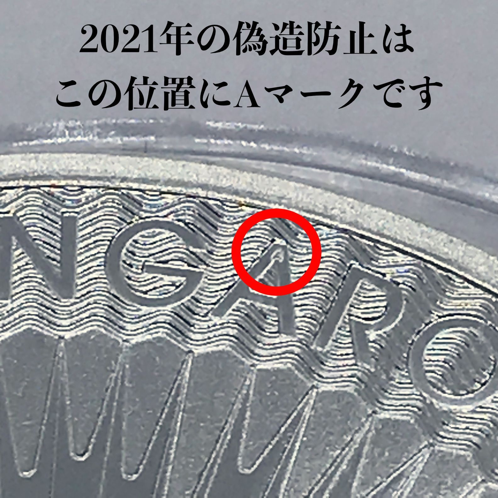 2021年発行 オーストラリア カンガルー銀貨 - メルカリ