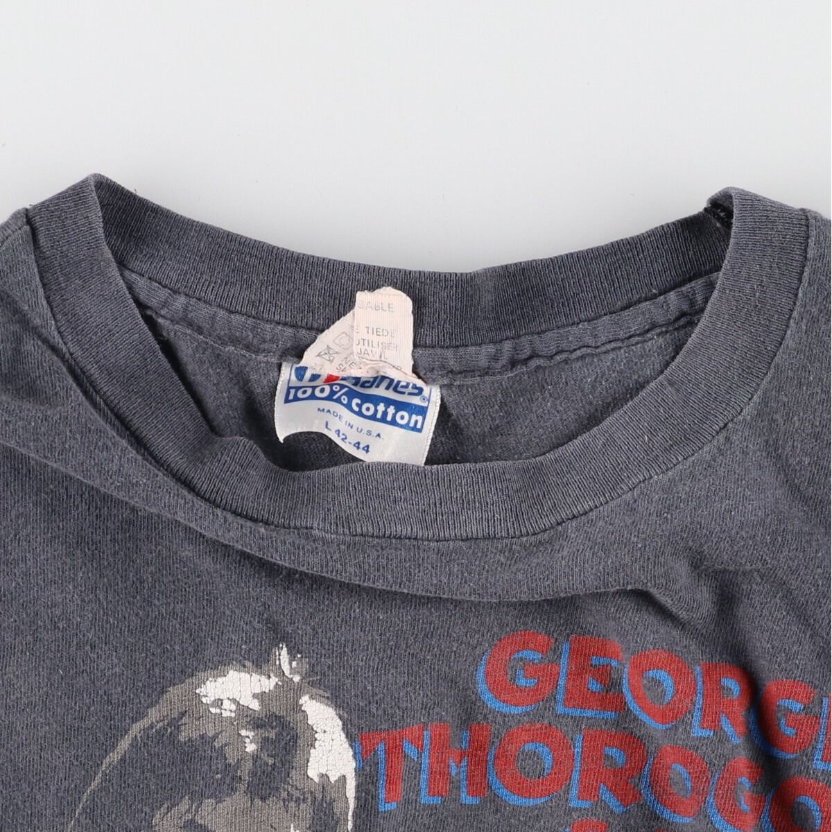 古着 80年代 ヘインズ Hanes GEORGE THOROGOOD THE DESTROYERS 