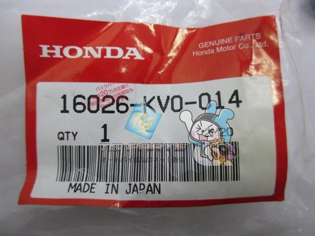 ザ・ビスキャッツ / 青野美沙稀【A4サイズ写真ポスターフレーム付き2