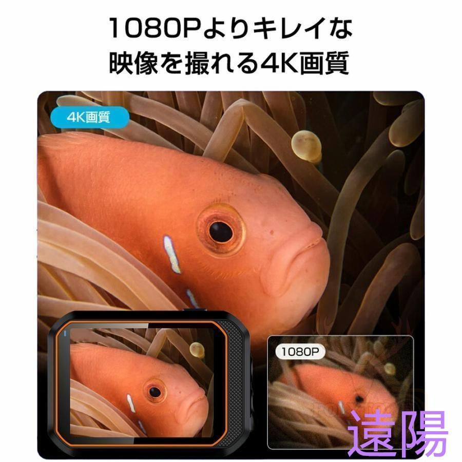 ビデオ