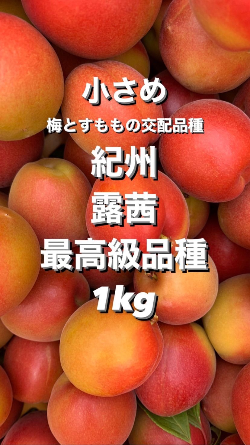 和歌山県産 つゆあかね 露茜 超訳あり 1kg - 通販 - olgapuri.org