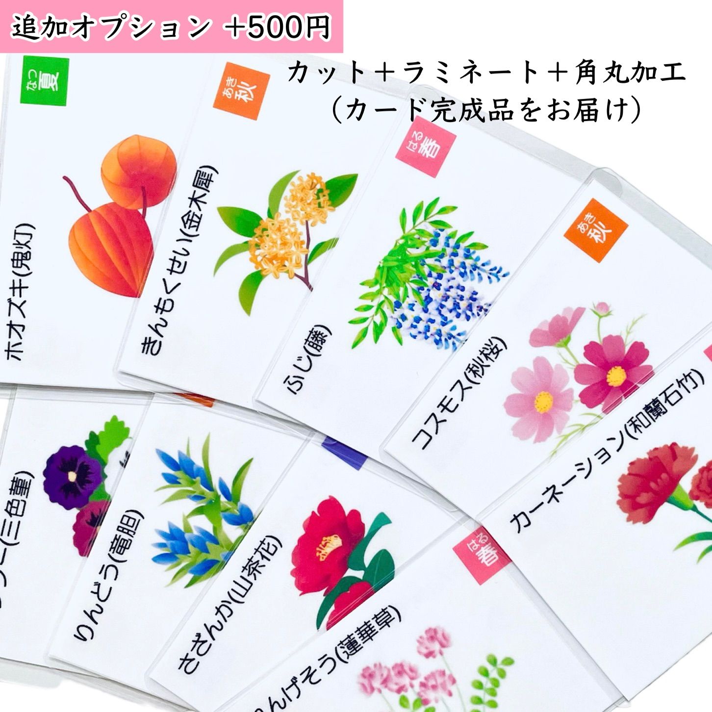 野菜・果物カード 小学校受験教材 理科的常識 幼児教育 知育 断面図 き