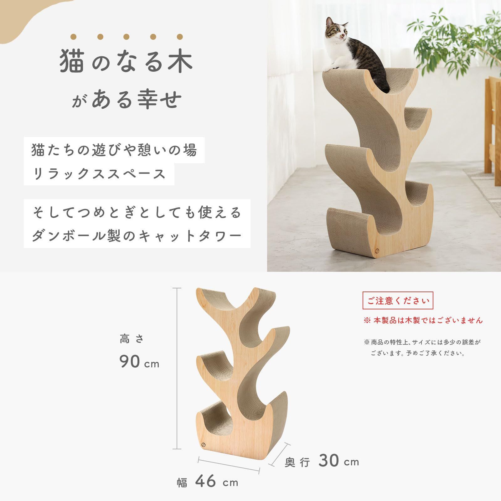 猫壱