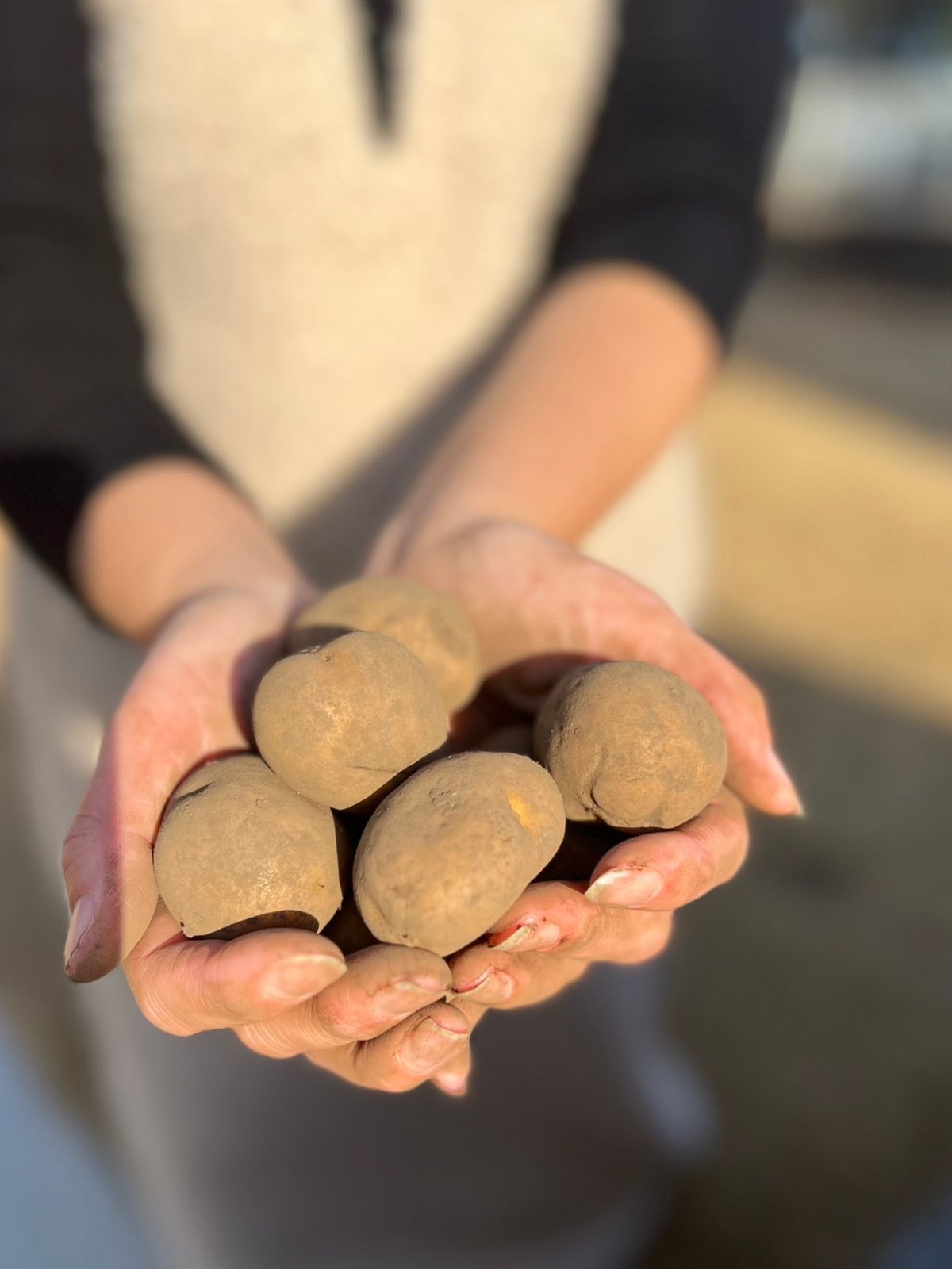 訳あり品 北海道産インカのめざめ 一口サイズ10kg 丸ごとジャーマンポテト - メルカリ