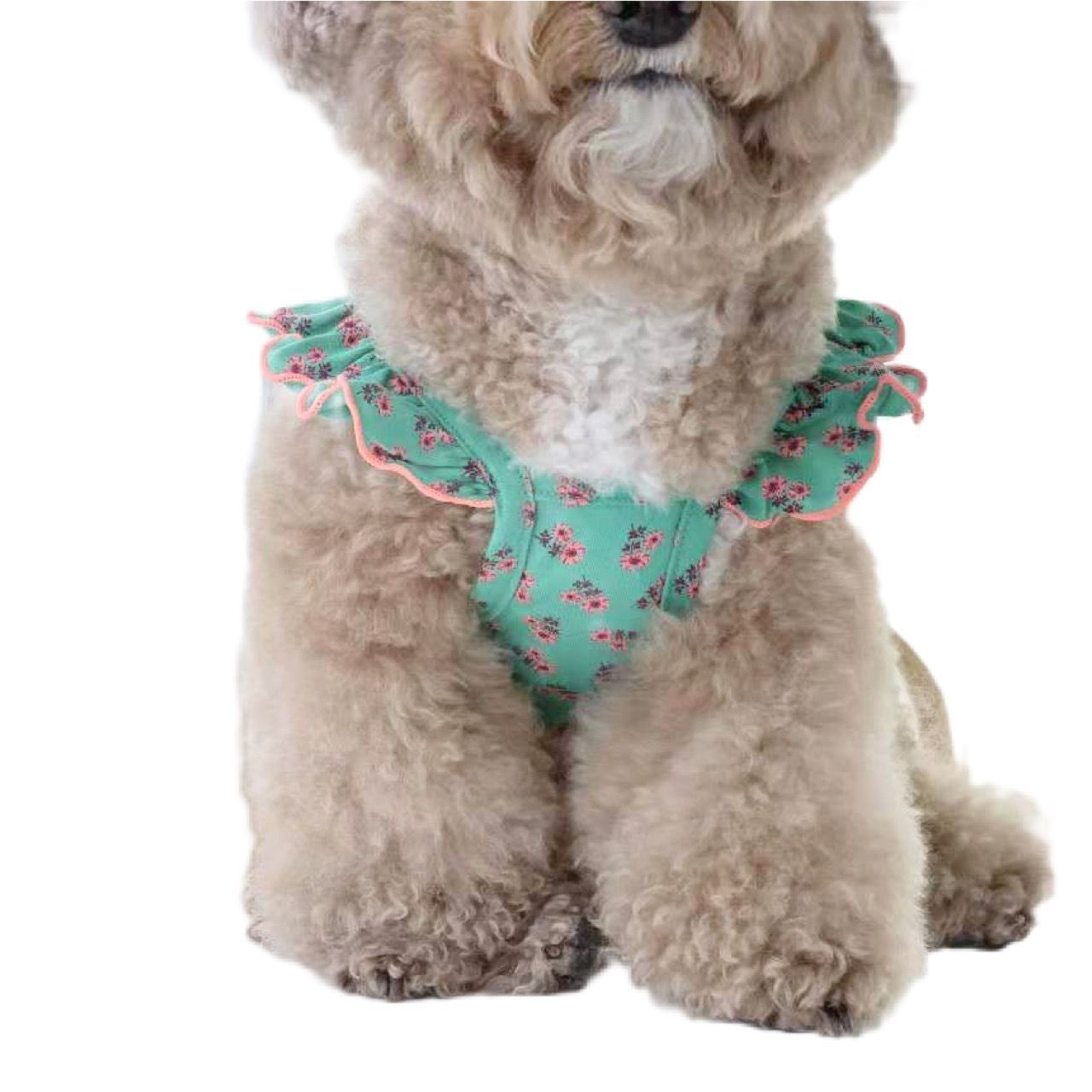 小型犬　洋服3枚セット