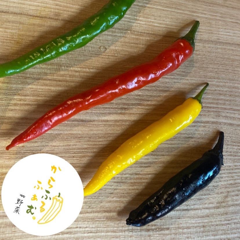 メルカリshops 唐辛子4色 50本入り 青 赤 黄金 紫 ネコポス便