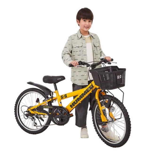 子供用自転車20インチ Precaliber 身長114-132cmチェーン新品 不合理
