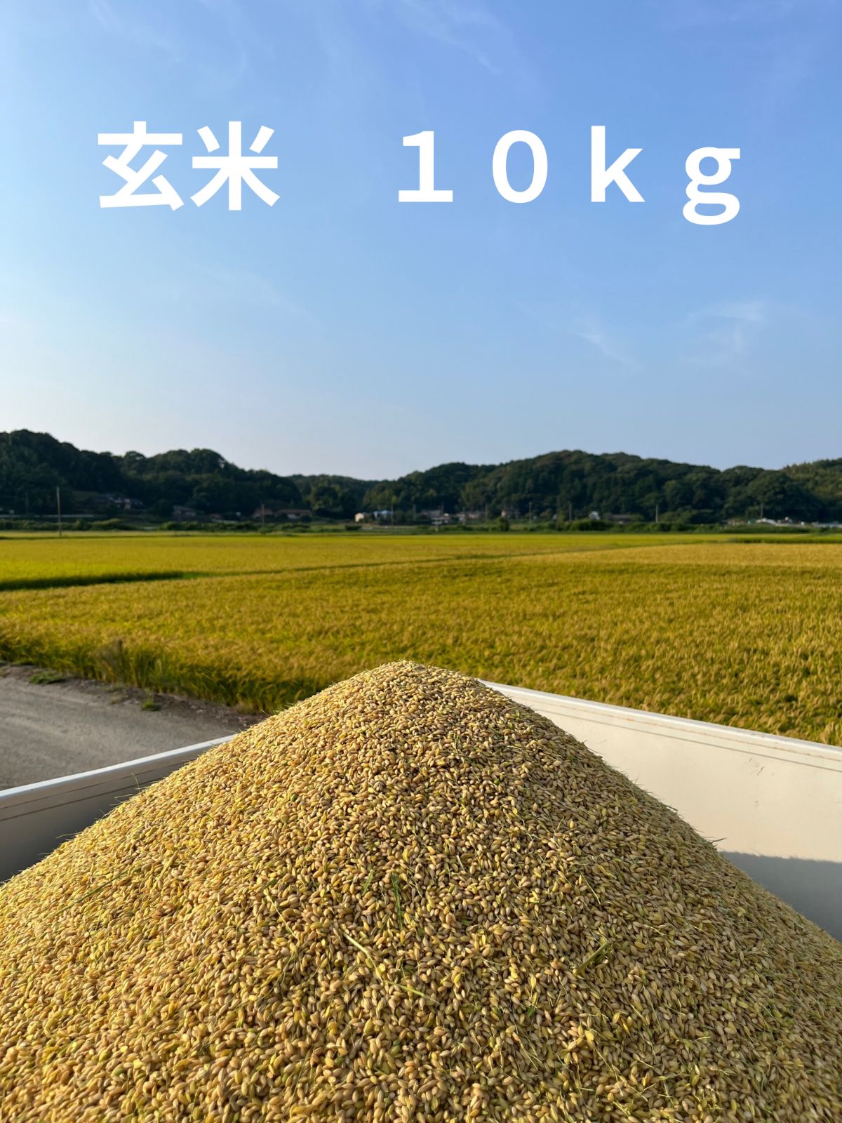 令和7年産 玄米 福岡県産 夢つくし10kg