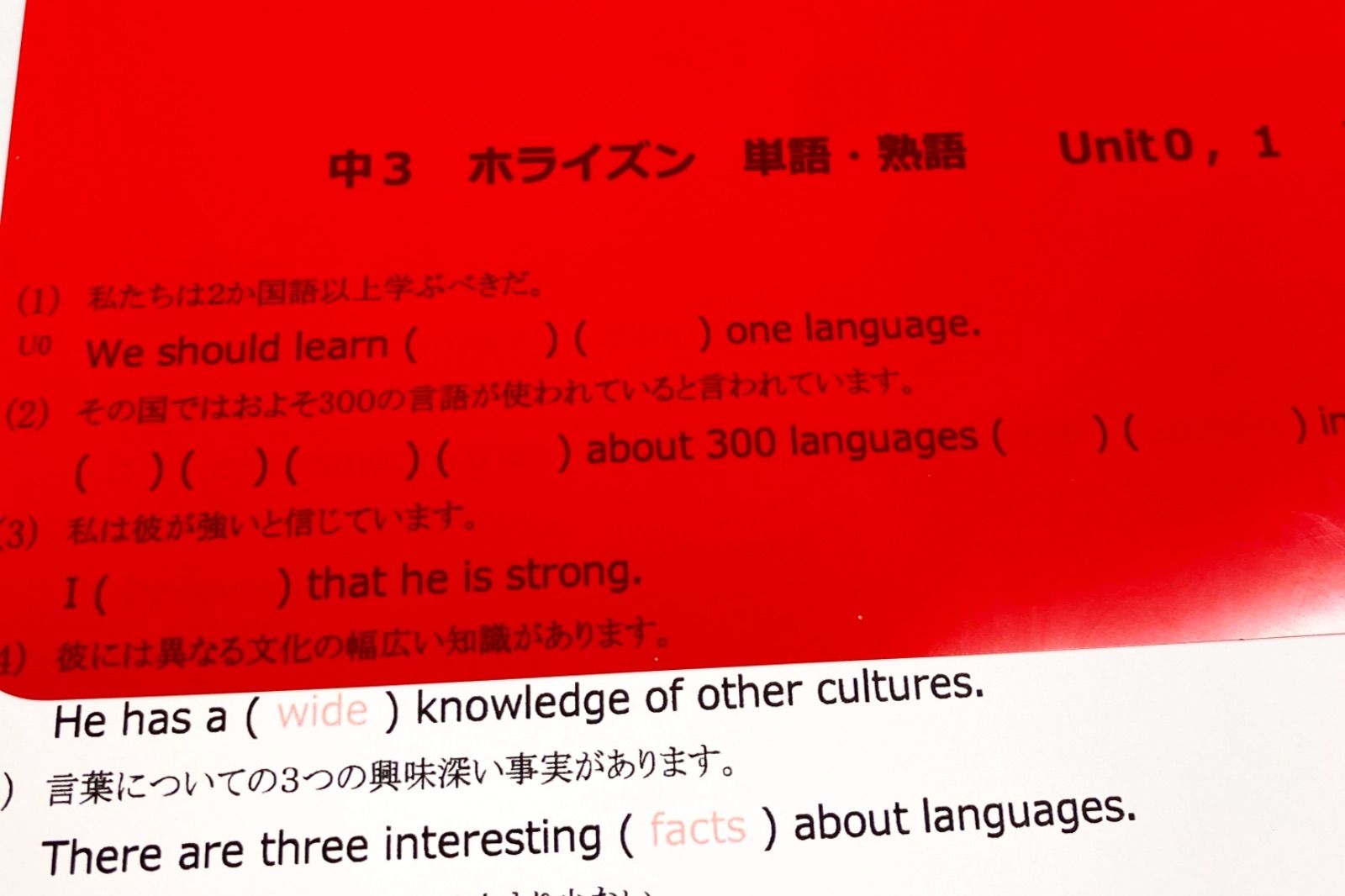 日本製 新品 未使用 中3 英単語 熟語 暗記プリント 在庫 ホライズン 東京書籍 在庫 サンシャイン 開隆堂 在庫 クラウン 三省堂 参考書 Lavacanegra Com Mx Lavacanegra Com Mx