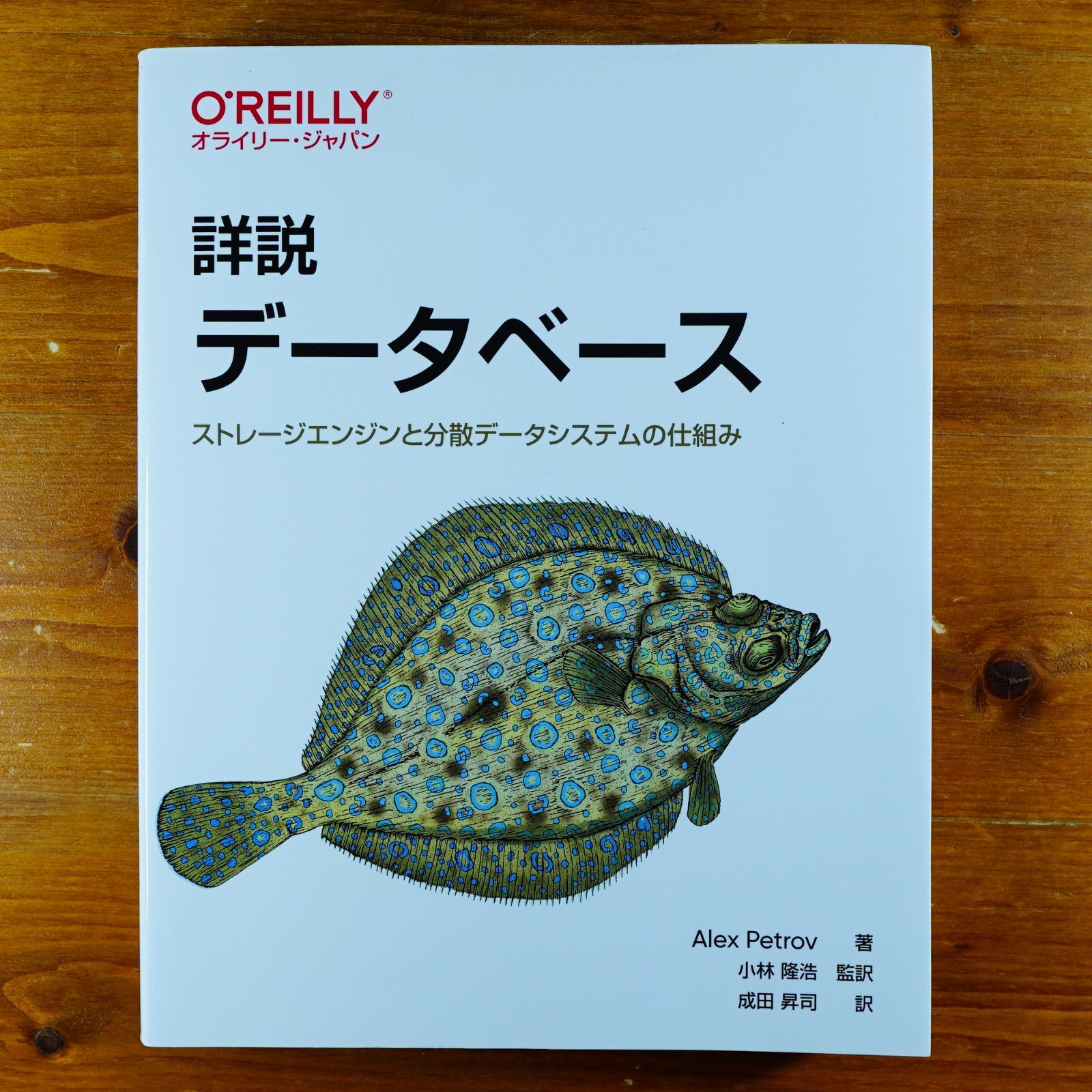 【裁断済み】詳説 データベース ―ストレージエンジンと分散データシステムの仕組み 中古詳説 データベース \u2015ストレージエンジンと分散データシステムの
