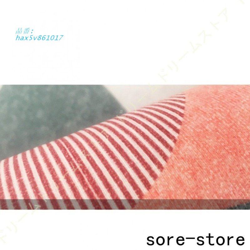 ラグ ラグマット カーペット 柔らかい 絨毯 遮音性 楕円形 滑り止め 楕円 モダン 長方形 マイクロファイバー オールシーズン 北欧 玄関マット 室内用 レトロ hax5v861017 MARWIL-DEMENAGEMENTS_CH