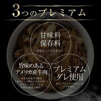 仕様牛めしの具×10 オリジナルカレー×10