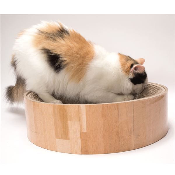  まとめ 猫壱 バリバリボウル 猫柄 ペット用品 × おもちゃ 猫用品