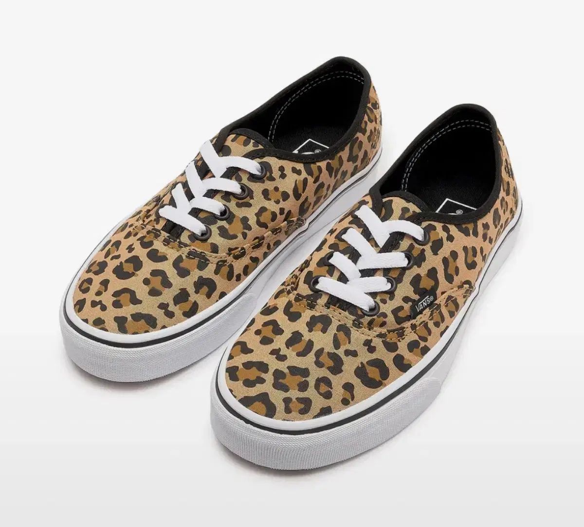 VANS(バンズ) オーセンティック 240
