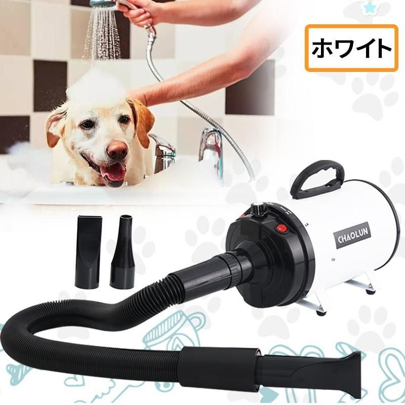 大型犬