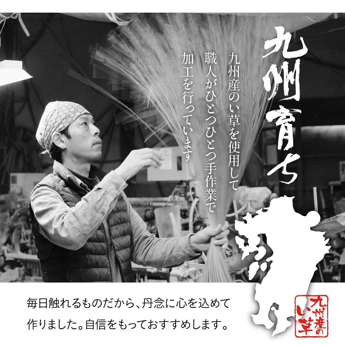 い草 3109709