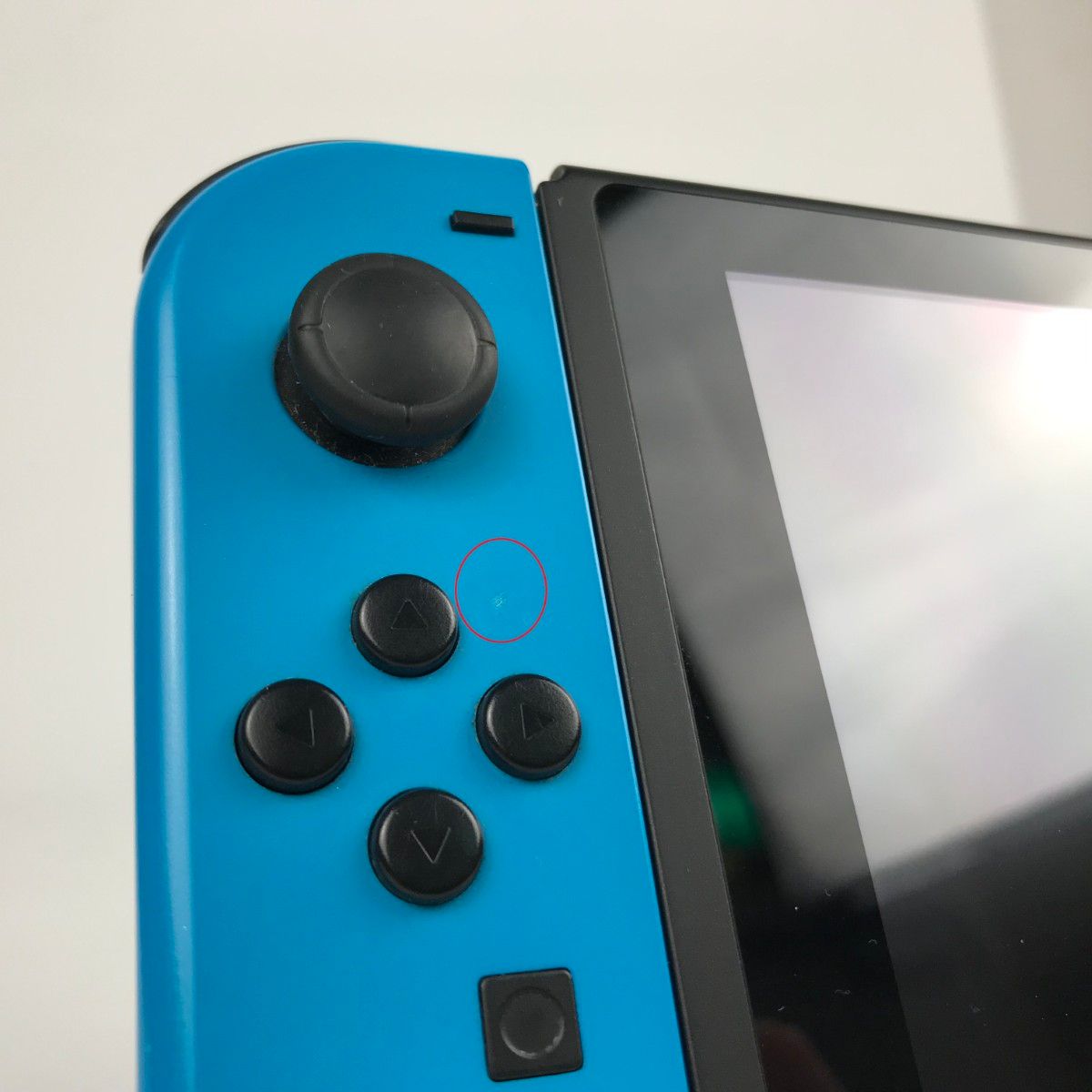 L ネオンブルー