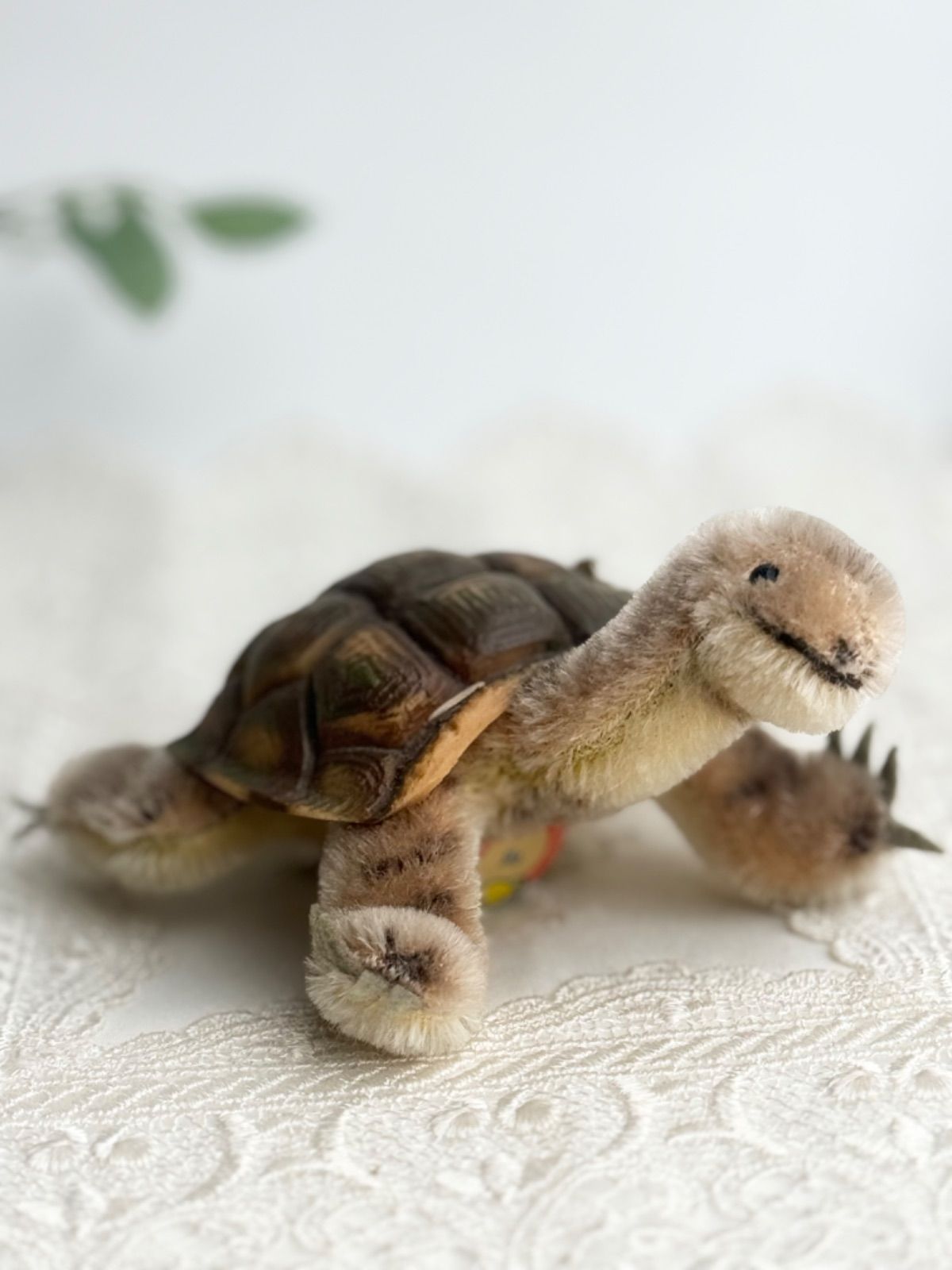 Steiff - シュタイフ★Slo Turtle 10cm ID完品★カメのソロ/タートル/亀 Steiff - シュタイフ☆Slo Turtle 10cm ID完品☆カメのソロ