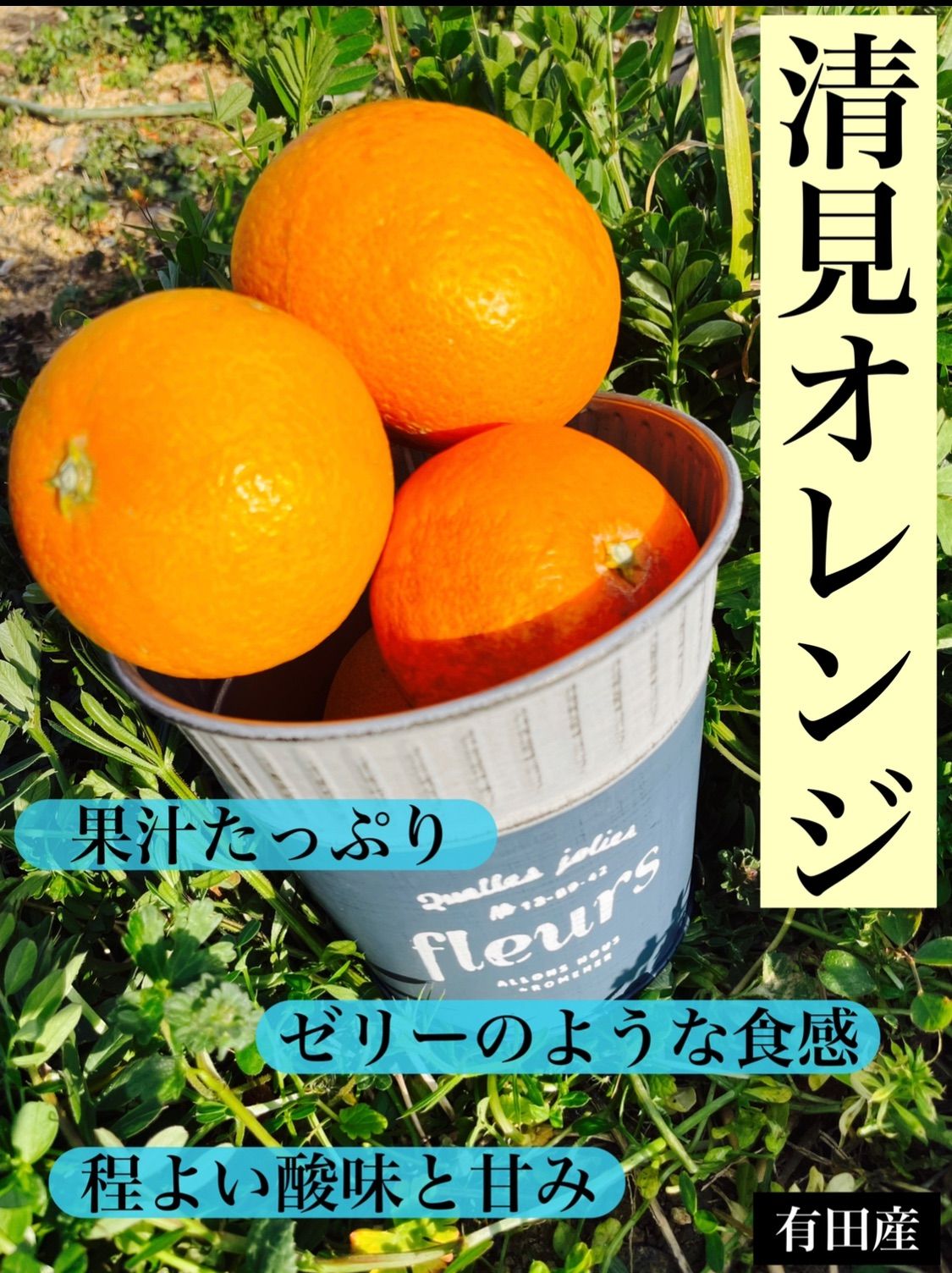 ふるさと納税 和歌山県 太地町 和歌山の人気 種なし柿　たっぷり約7.5kg