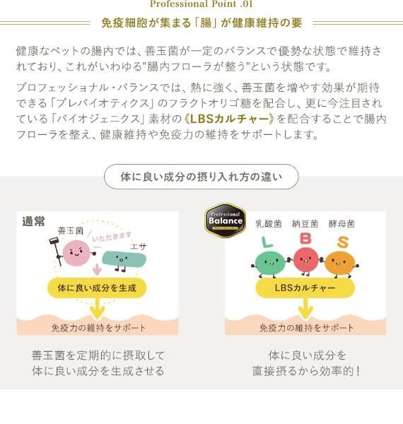 超小粒 1歳から