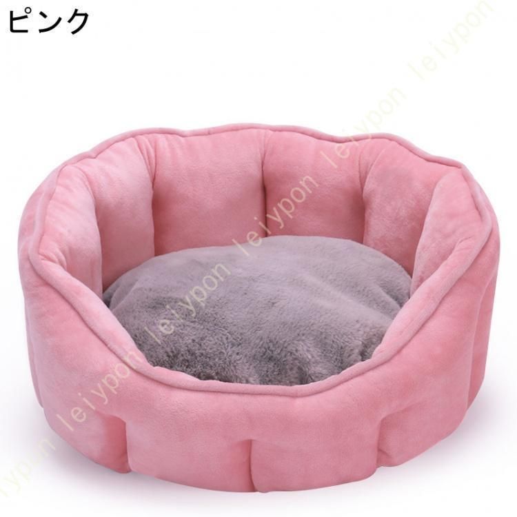 小型犬 中型犬