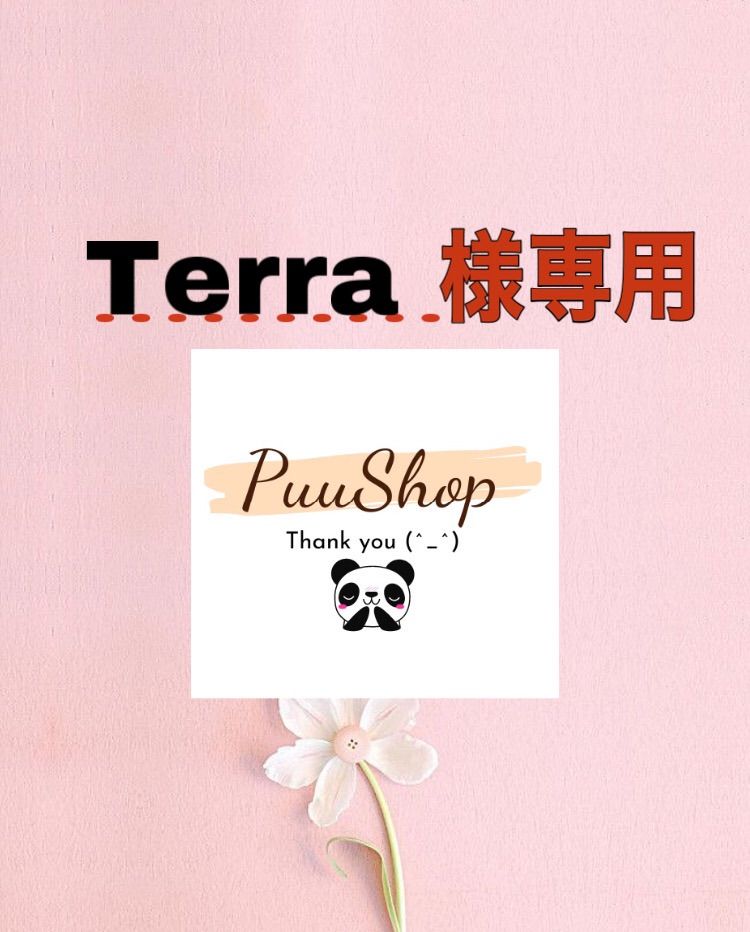 独特の素材 新品、未使用 Terra様専用ページ ネイルチップ/付け爪