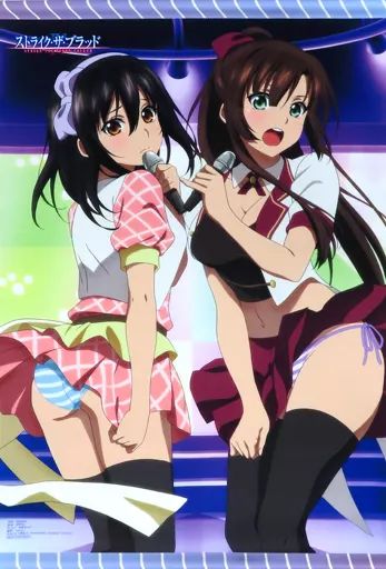 中古】タペストリー 姫柊雪菜＆煌坂紗矢華 B2タペストリー 「Blu