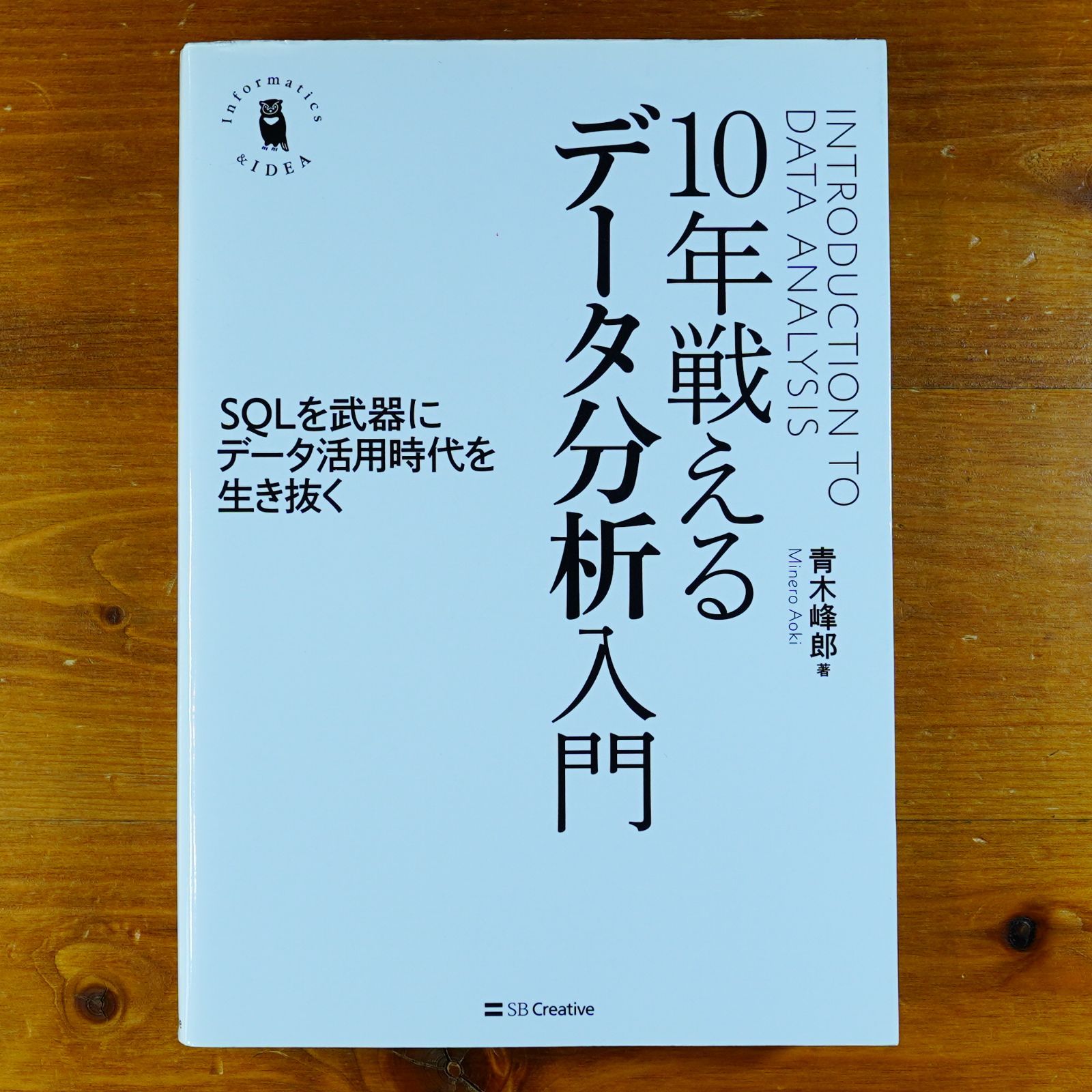 10年戦えるデータ分析入門 SQLを武器にデータ活用時代を生き抜く 