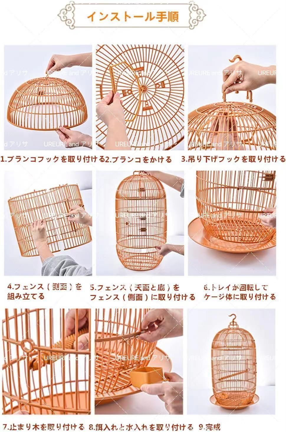 掃除しやすい 文鳥