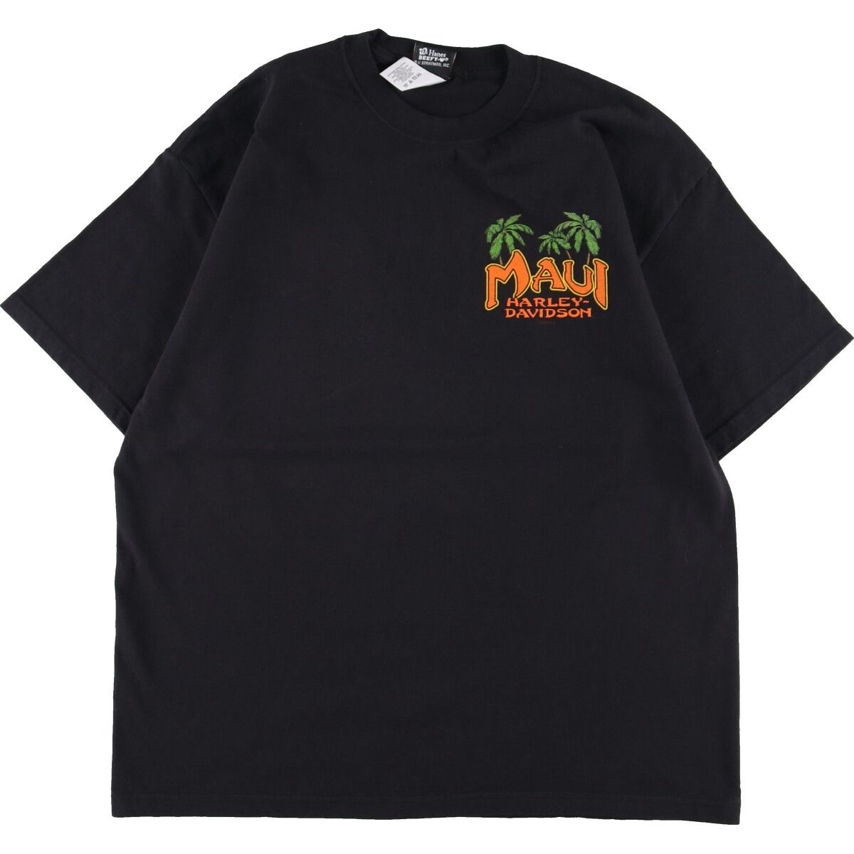 古着 ヘインズ Hanes Harley-Davidson ハーレーダビッドソン モーターサイクル バイクTシャツ USA製 メンズL/eaa338610
