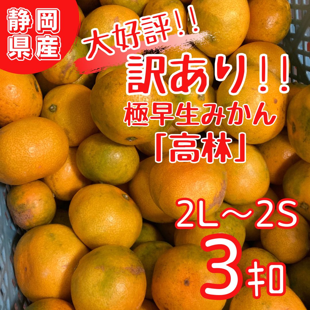 特別価格！わけあり『極早生みかん』5キロ 小玉 静岡県浜松産 - 果物