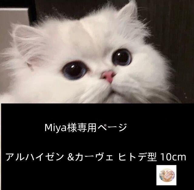 Miya様専用ページ