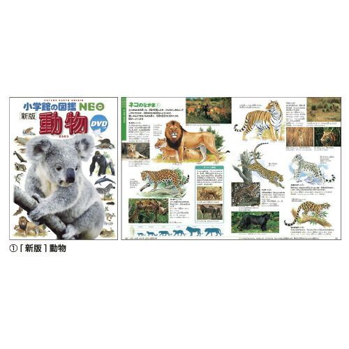 小学館の図鑑NEO12冊 小学館の図鑑NEO (12)乗りものNEOﾉﾘﾓﾉ【小学館】 - メルカリ