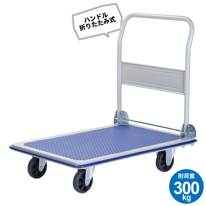 確認用 アガベ 屈原の舞扇×ブラッドスポット 子株2株付 パライシ 2株お