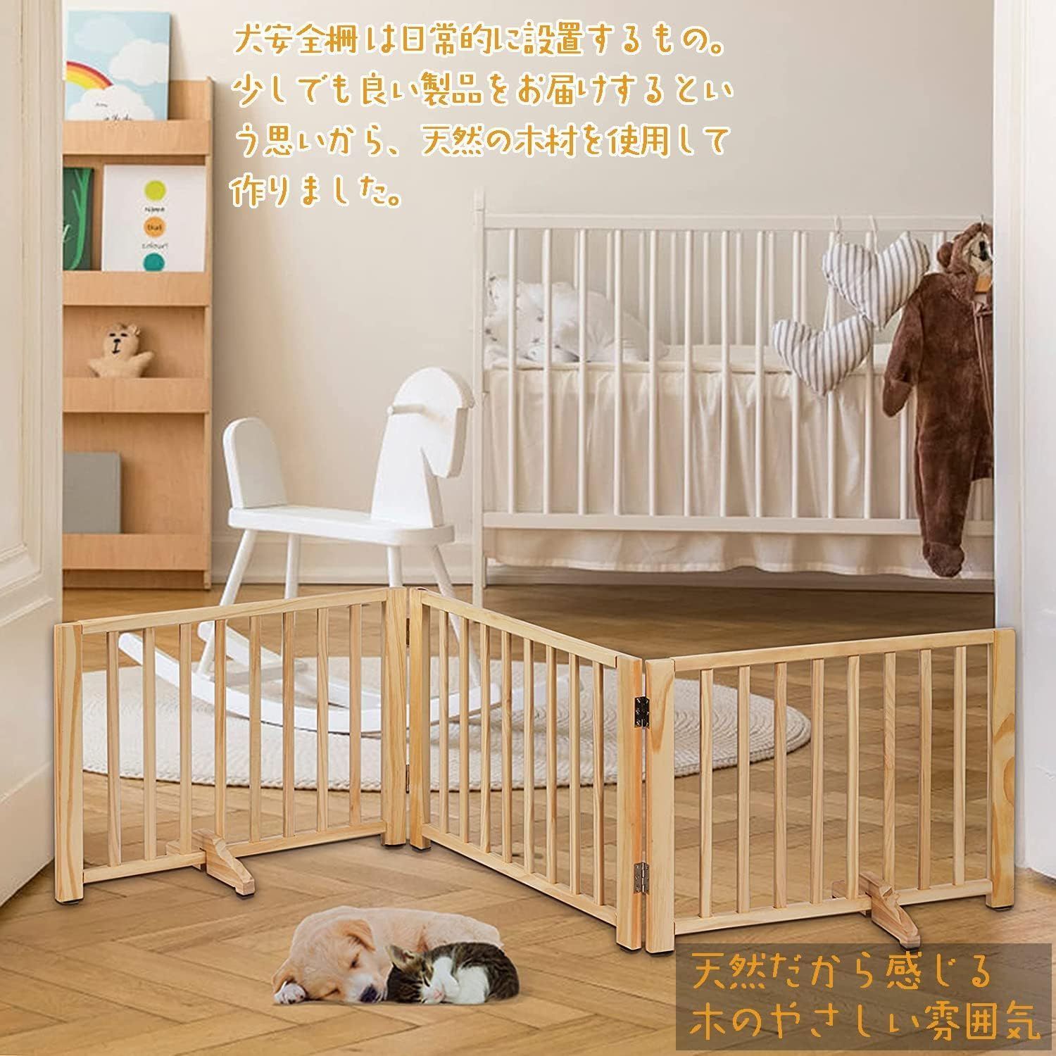 小型犬