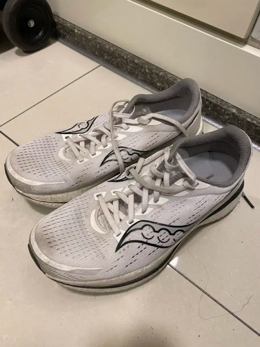 Saucony サッカニー エンドルフィン 260