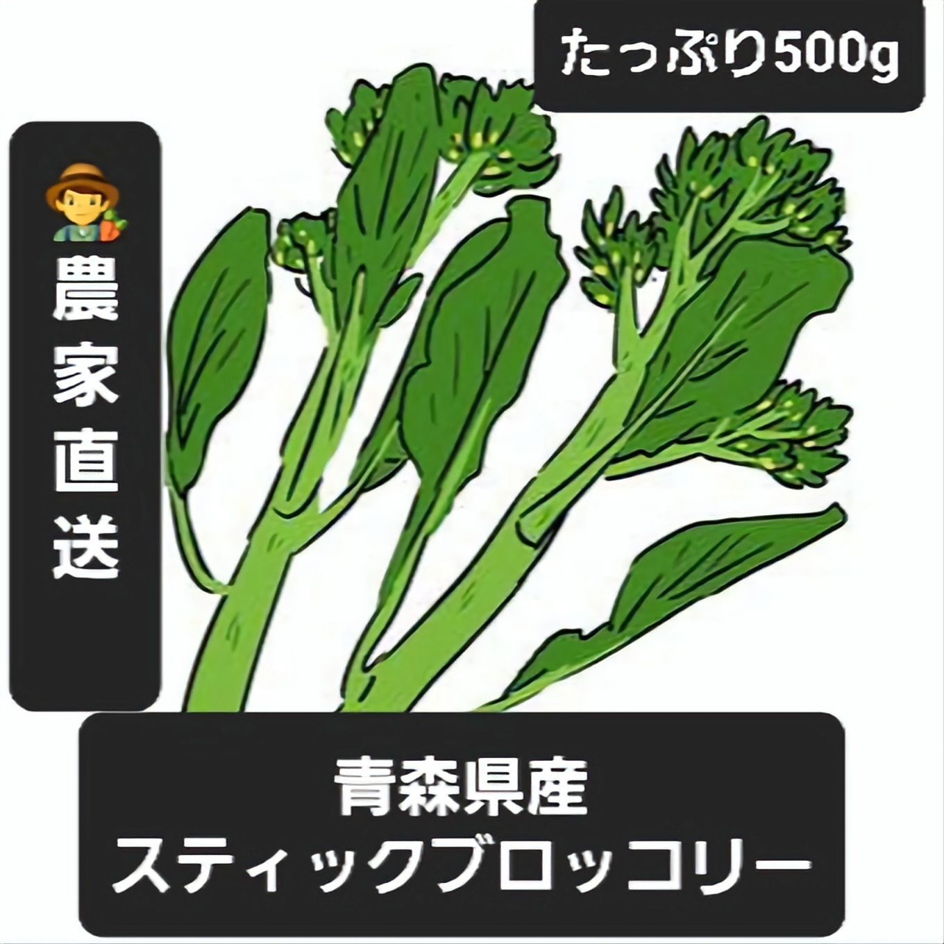 スティックセニョール葉っぱ ネコポス 今年人気のブランド品や - 野菜