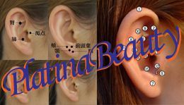 W資格／耳つぼダイエットインストラクター&耳つぼ認定講師【協会資格