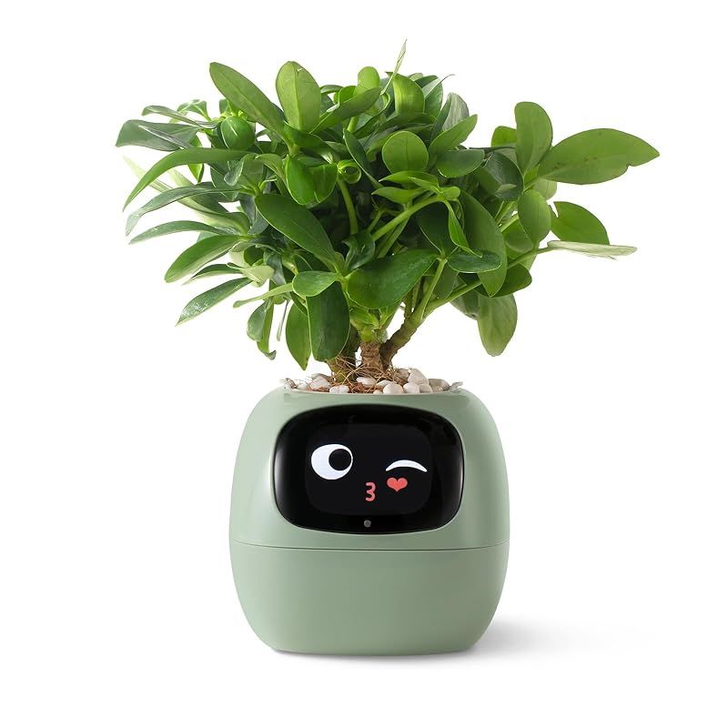 PLANTSIO スマートペットプランターロボット 絵文字付き 植物の世話のガイダンス 豊かなジェスチャーの相互作用を持つ愛らしい植物の仲間 きちんとしたデスクセットアップギフト (グリーン)
