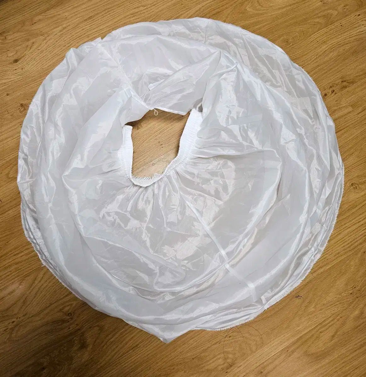 獣 ベル