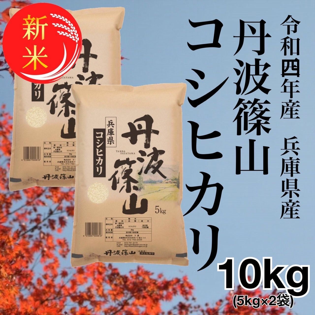 取り寄せ 令和４年 兵庫県産 コシヒカリ | www.tuttavia.eu