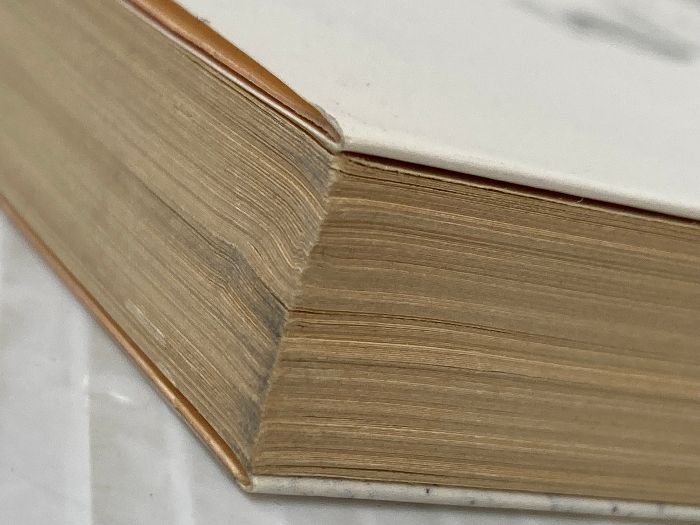  イタミ有 白夜の密室 ペテルブルグ一九〇一年 徳間文庫 か 1-16 海渡 英祐 文学 小説 本