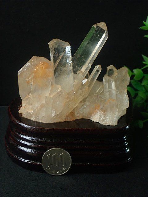 2点まとめて専用ページ