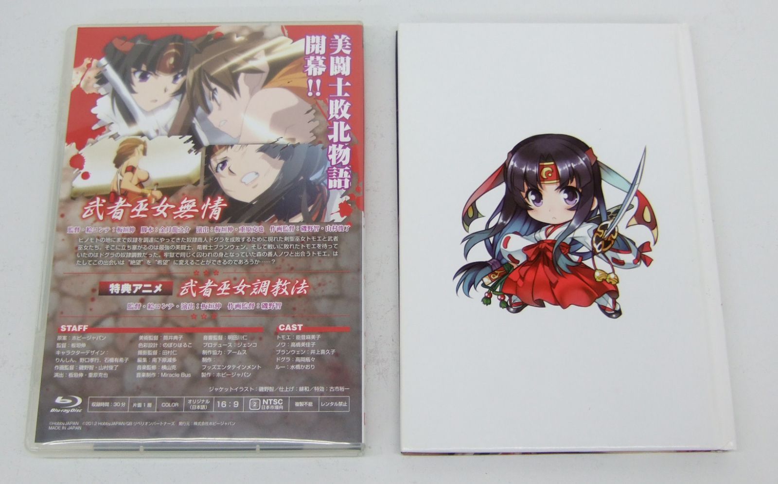 クイーンズブレイドプレミアムビジュアルブック散 クイーンズブレイド プレミアムビジュアルブック 散 - メルカリ