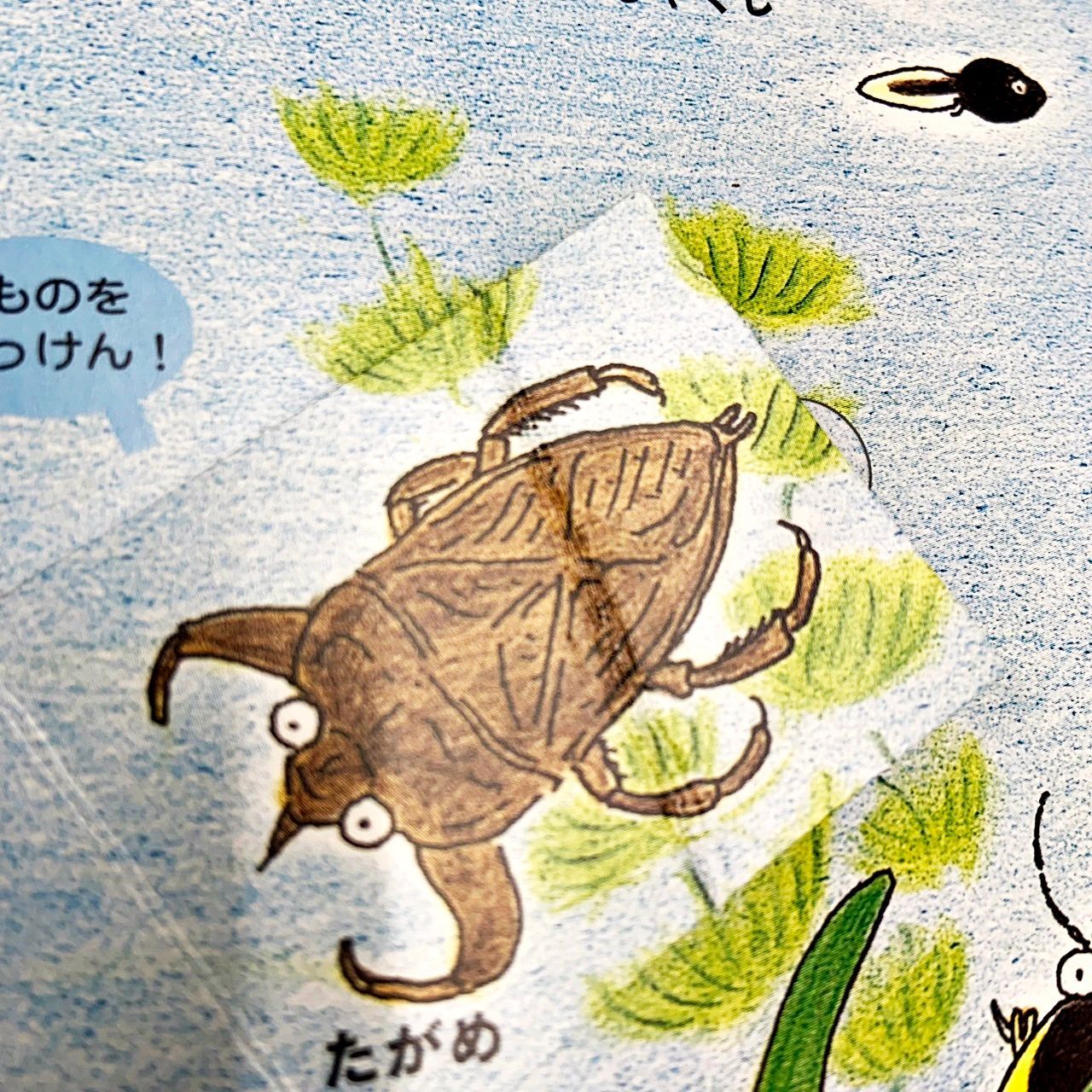 はっけんずかん　セット　計9冊　カバーあり 楽天市場】はっけんずかん セットの通販